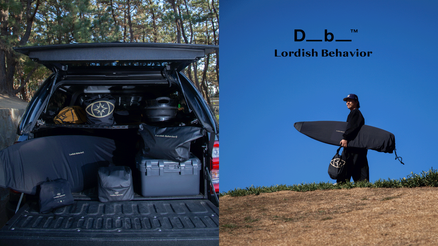 Db x LordishBehavior